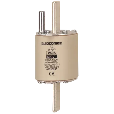 Fuselinks type gG DIN - Electrical Distribution & Protection Devices - PRODUCT_MAIN_PICTURE2_EXT